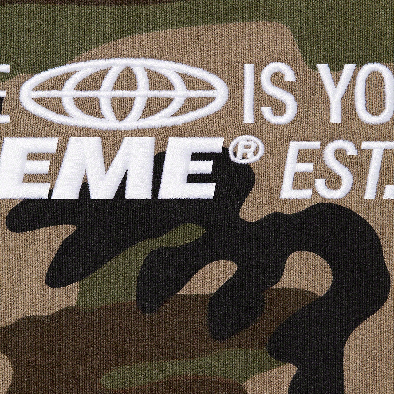 World Is Yours Hooded Sweatshirt view 2
